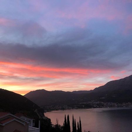 Villa Garden Apartments Herceg Novi Exterior photo