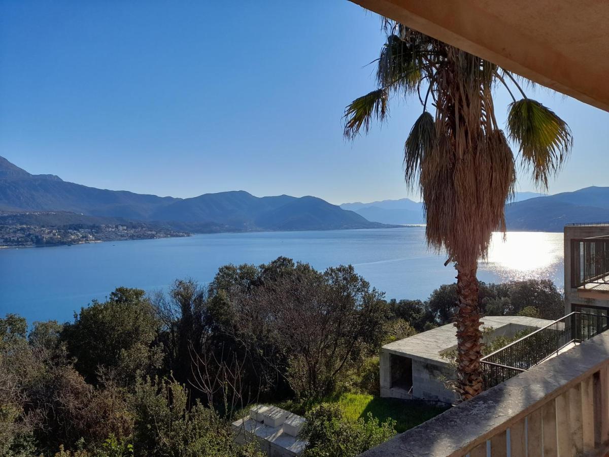 Villa Garden Apartments Herceg Novi Exterior photo