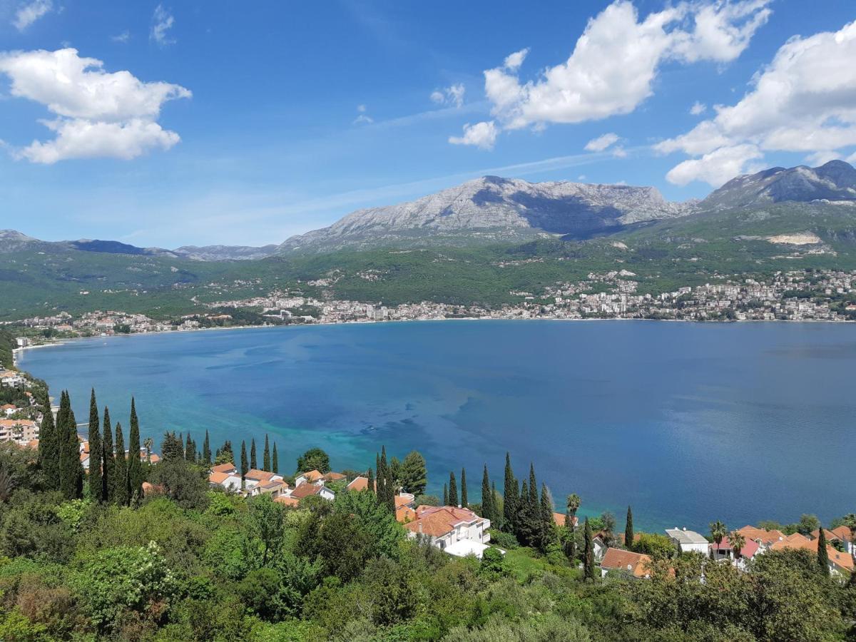 Villa Garden Apartments Herceg Novi Exterior photo