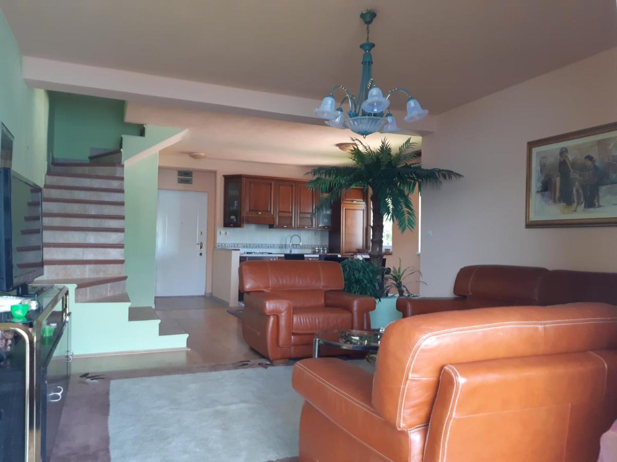 Villa Garden Apartments Herceg Novi Exterior photo