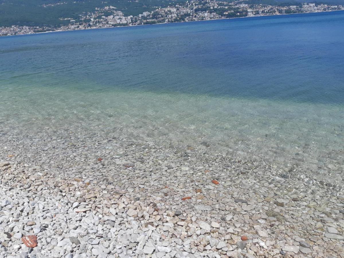Villa Garden Apartments Herceg Novi Exterior photo