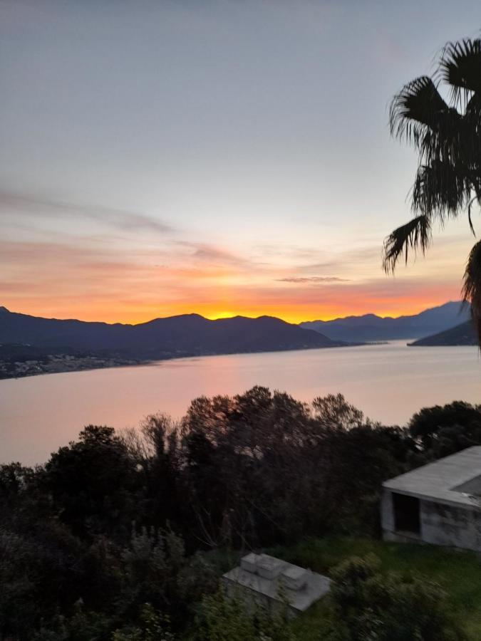 Villa Garden Apartments Herceg Novi Exterior photo